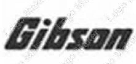 Gibson Valencia Servicio Tecnico Oficial 